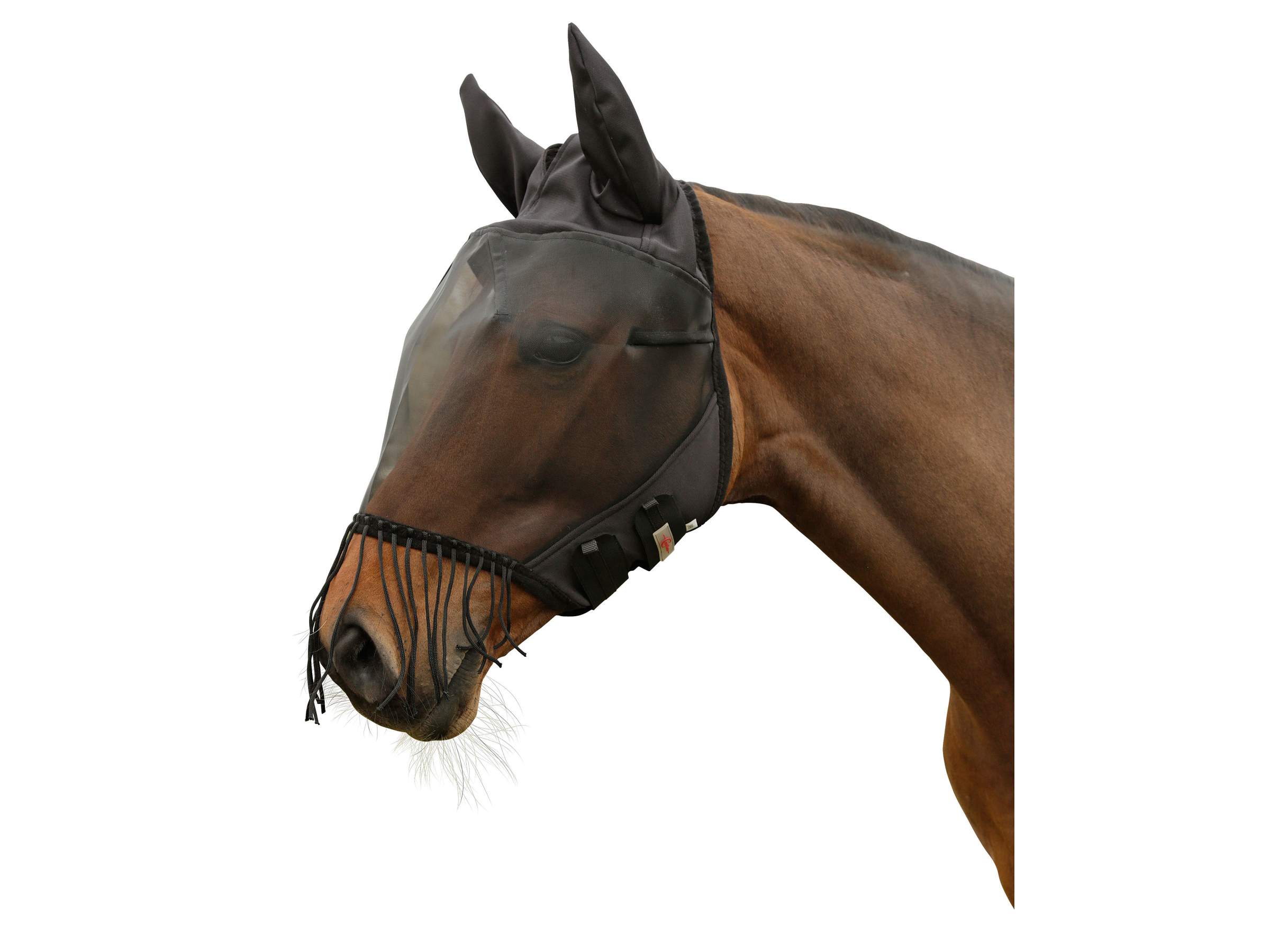 Masque anti-mouches avec protection des oreilles et frange pour les naseaux - Image 1