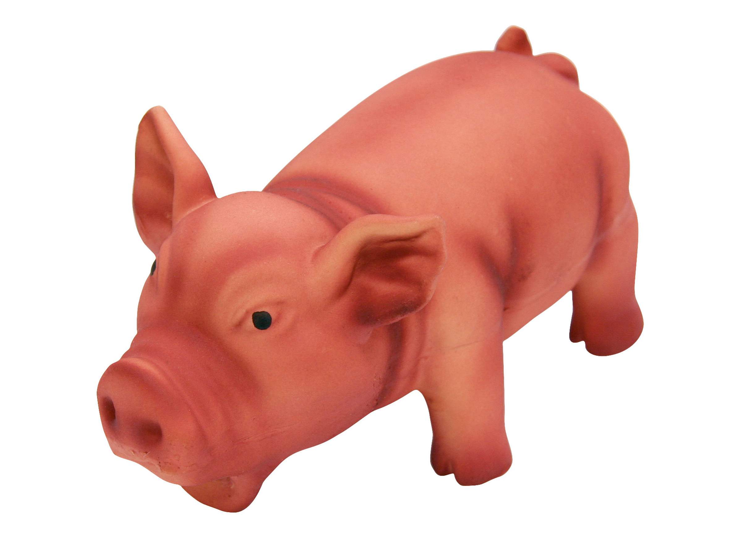 Porcs - Image 1