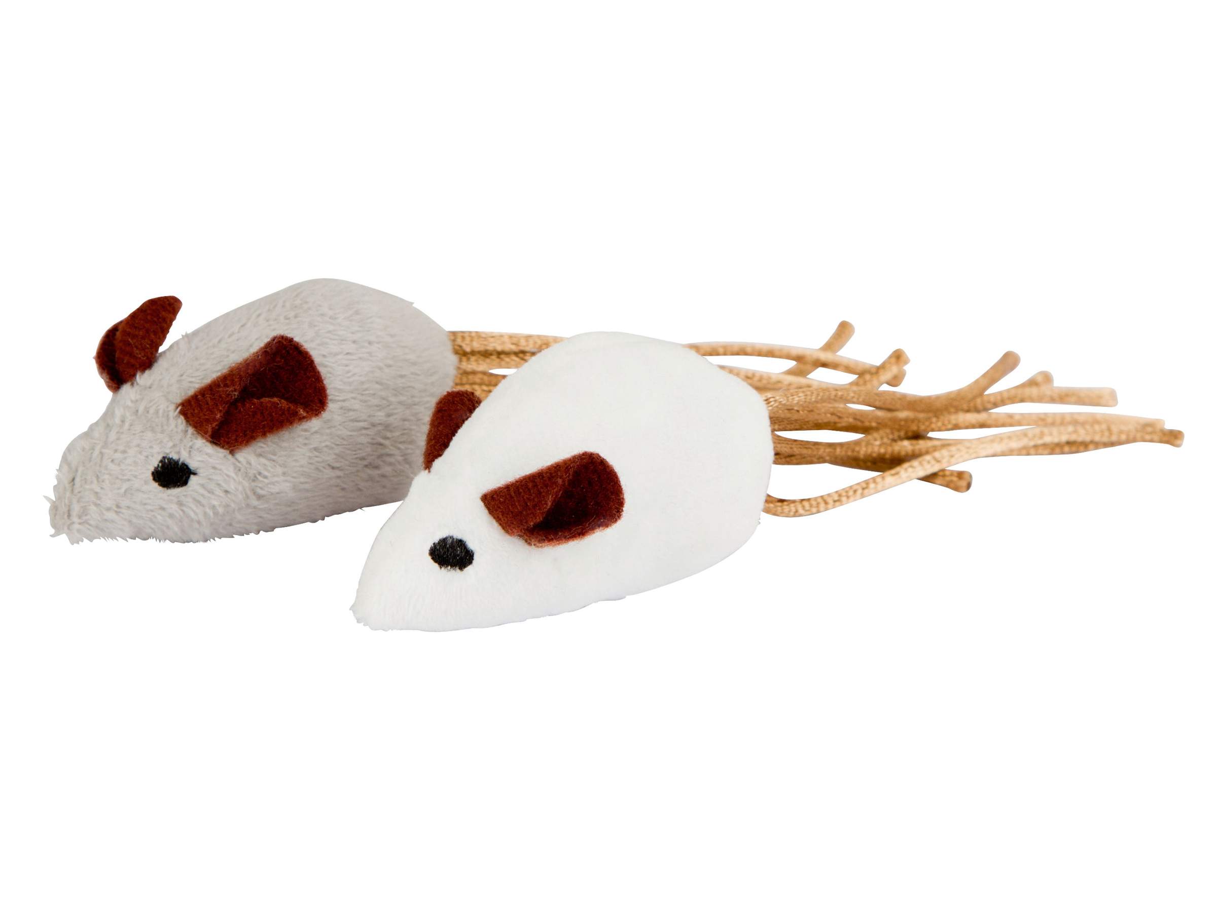 Souris - Image 1
