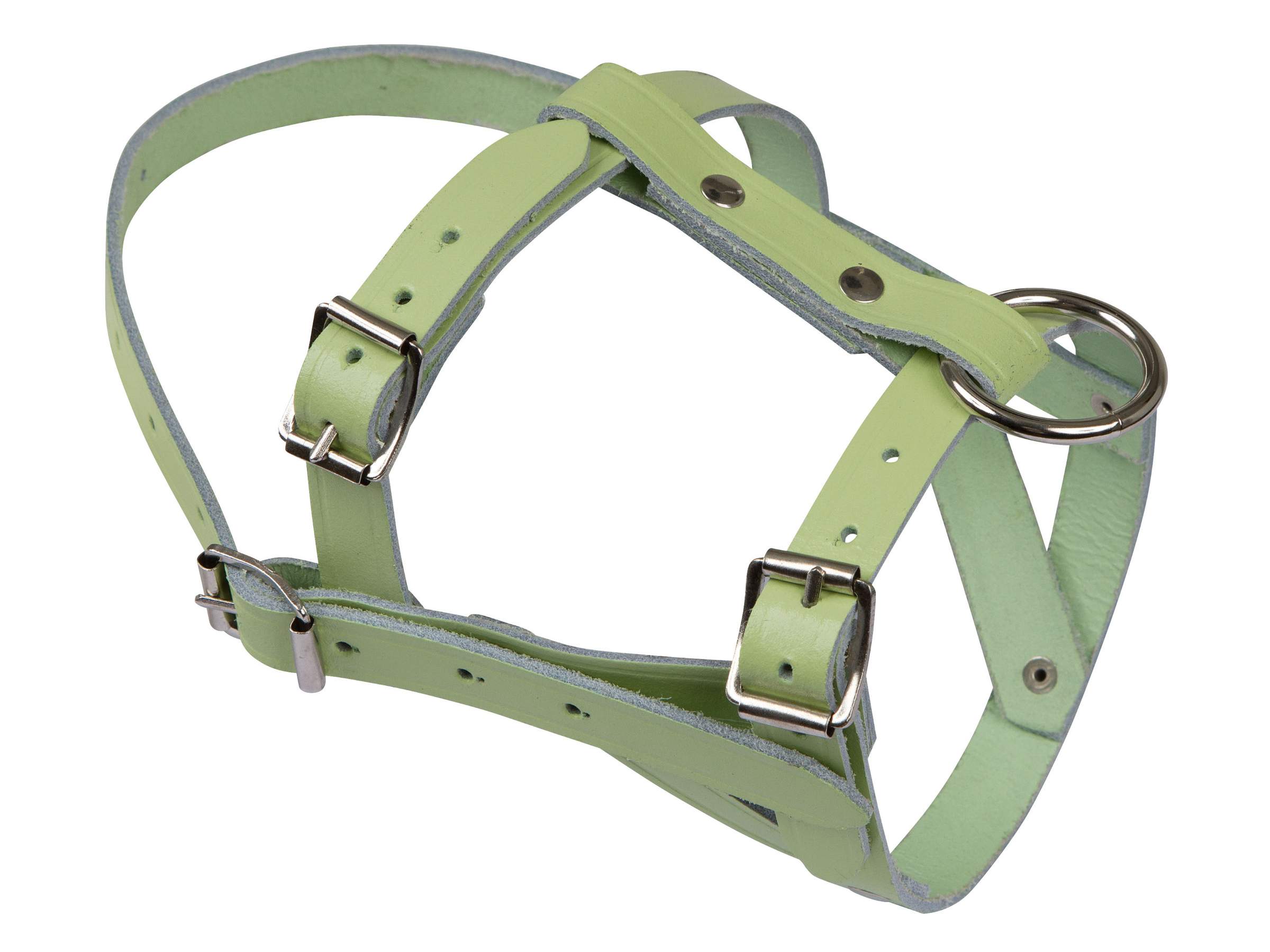 Licol pour mouton et bélier - Image 1
