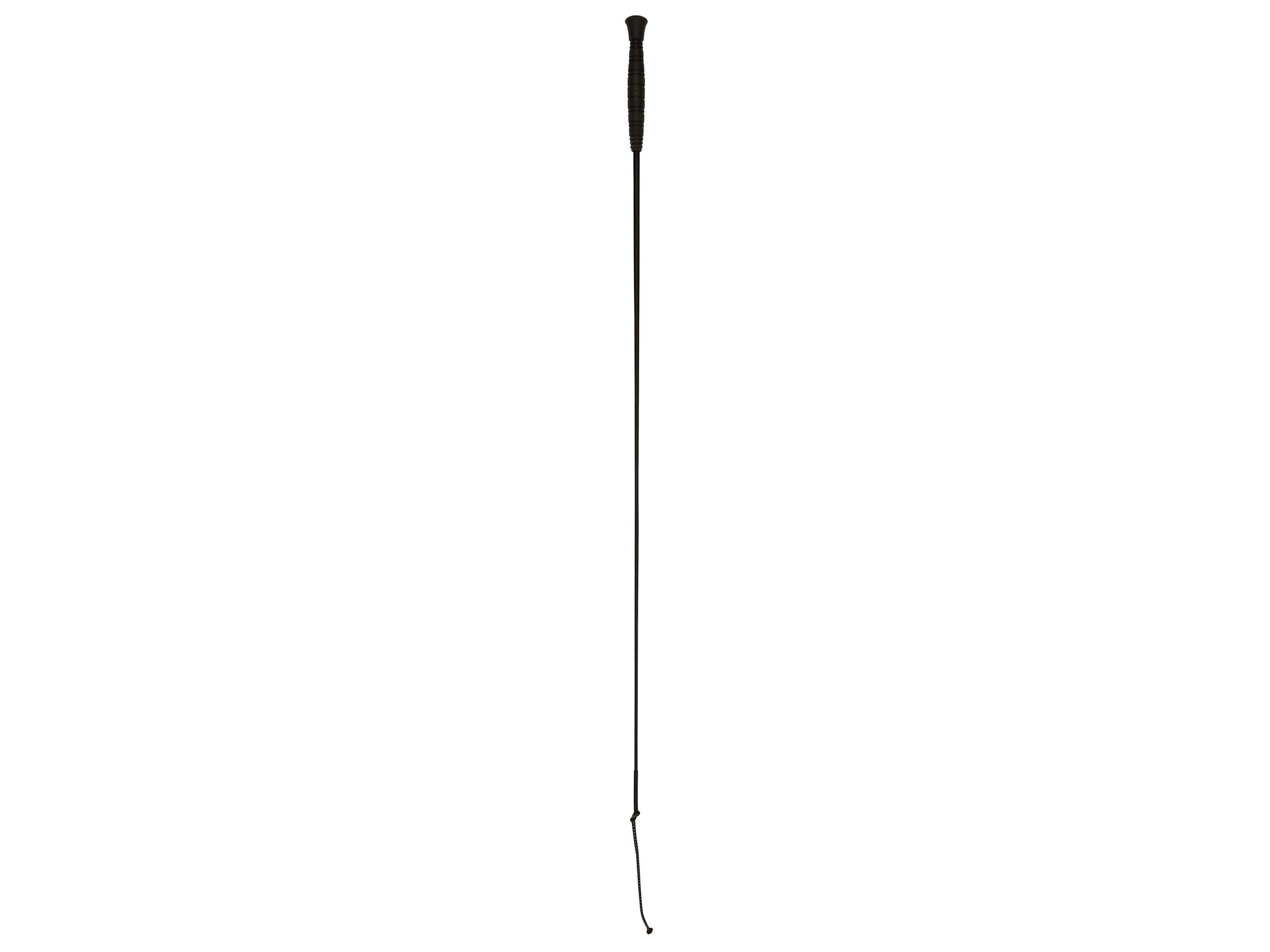 Cravache de dressage - Image 1