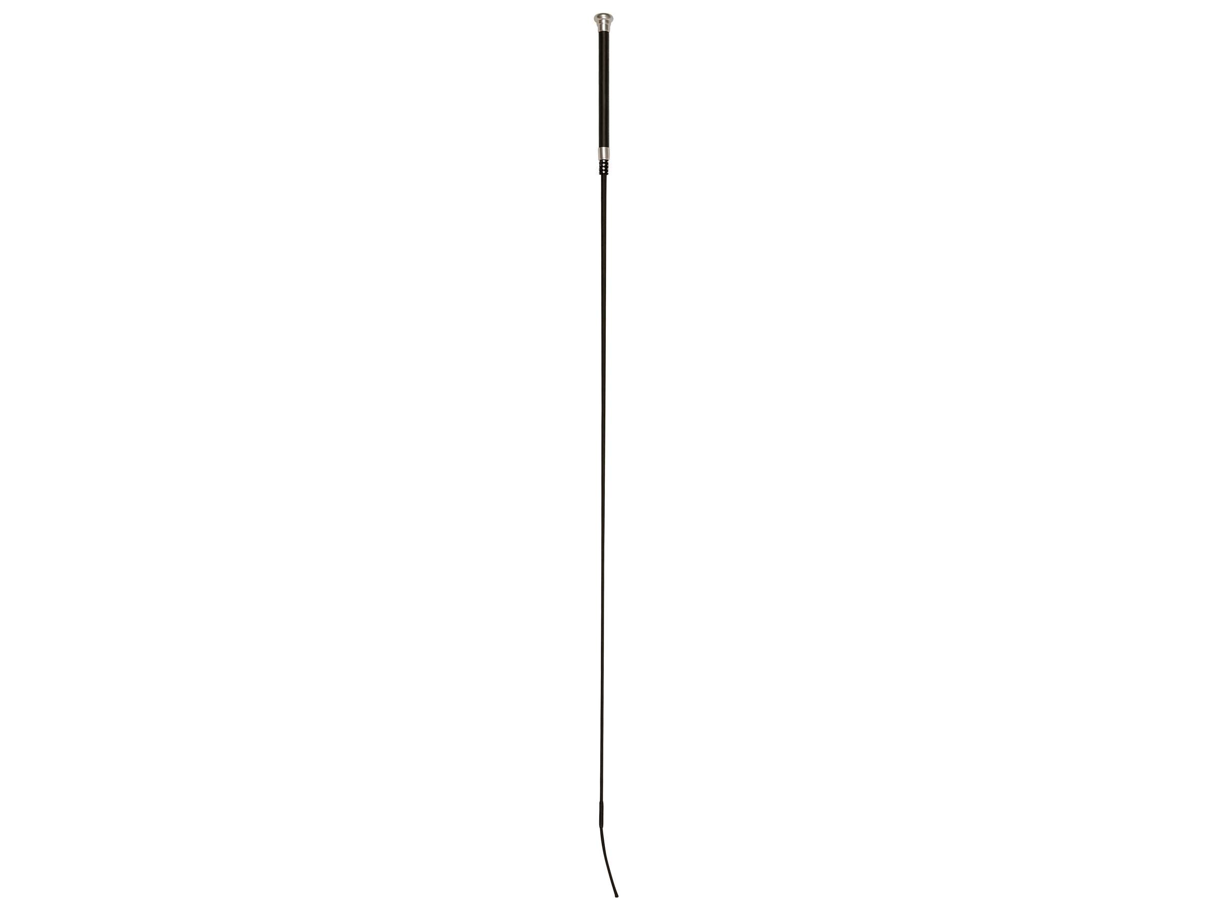 Dressage / Riding Crop - Image 1