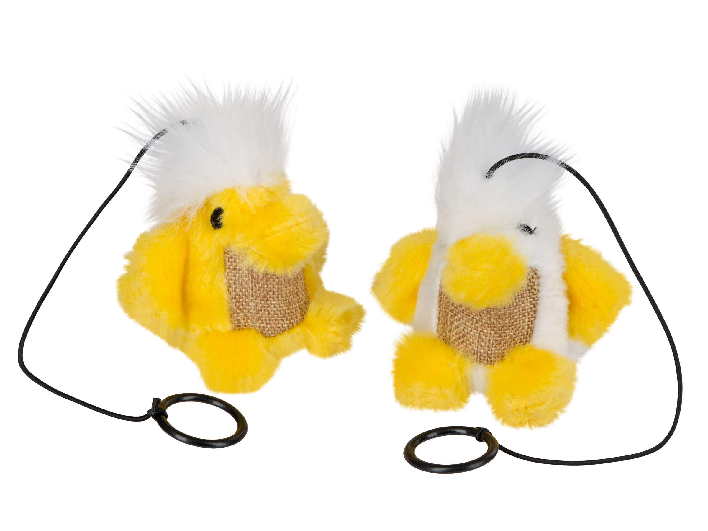Oiseau Chico - Image 1