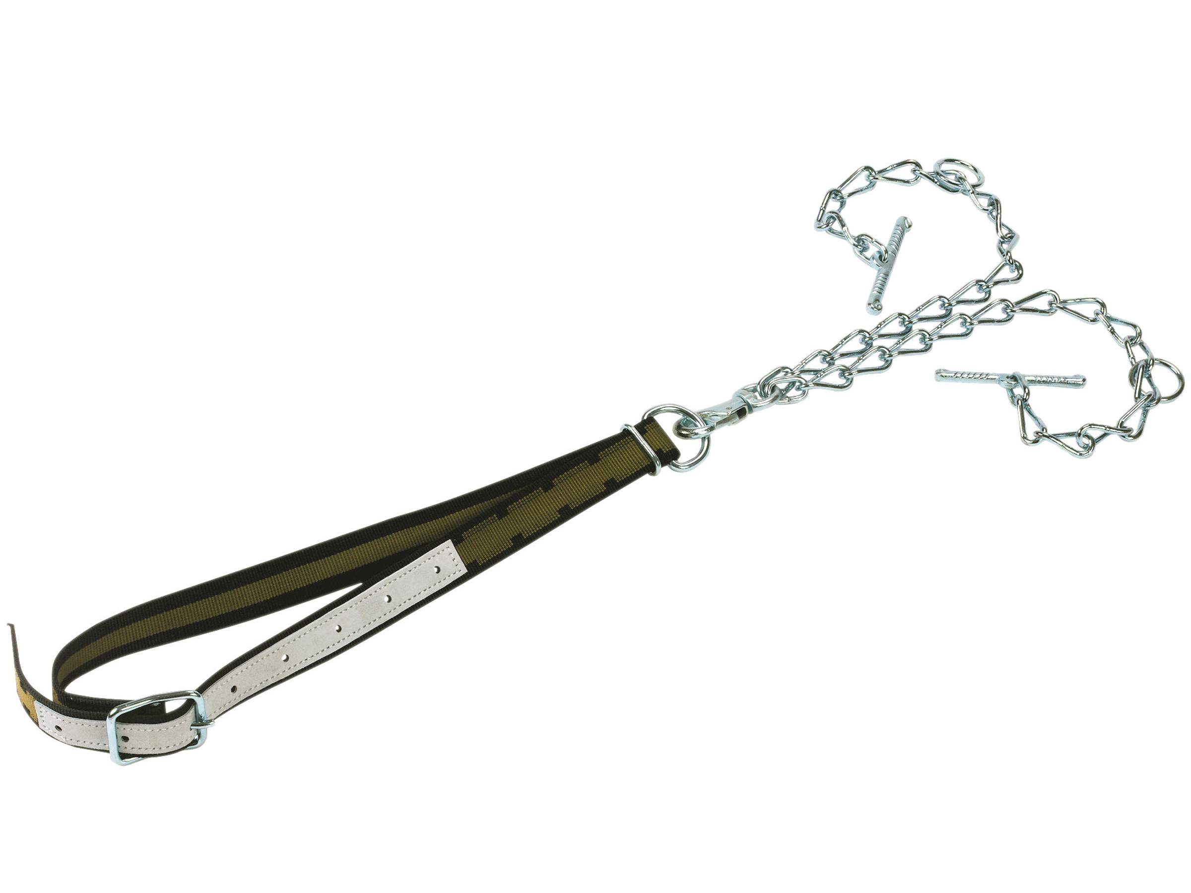 Attache bovins avec collier Top Quality - Image 1