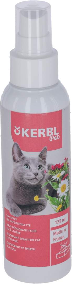 Deodorant Spray - Image 1