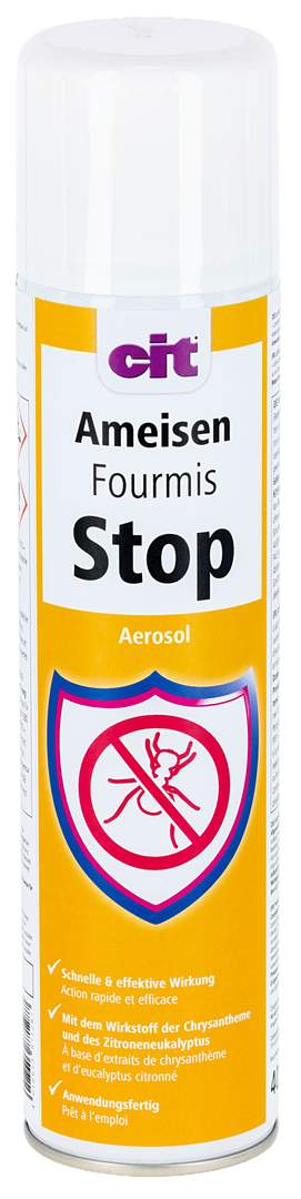 cit Fourmis Stop - Image 1