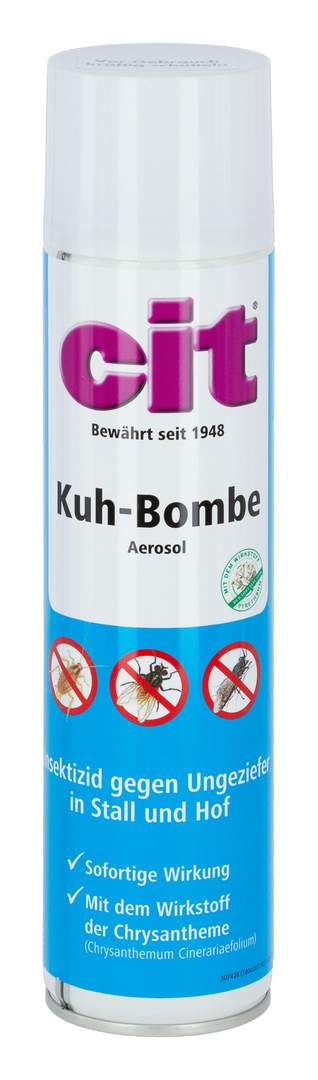 cit Kuhbombe - Bild 1