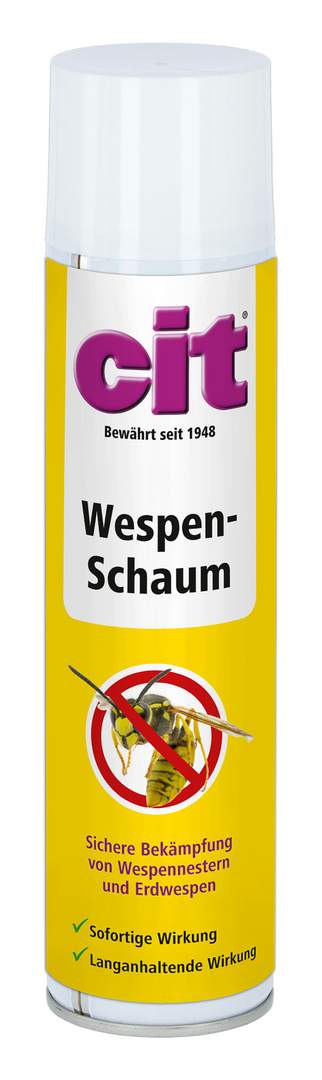 cit Wasp Foam - Image 1