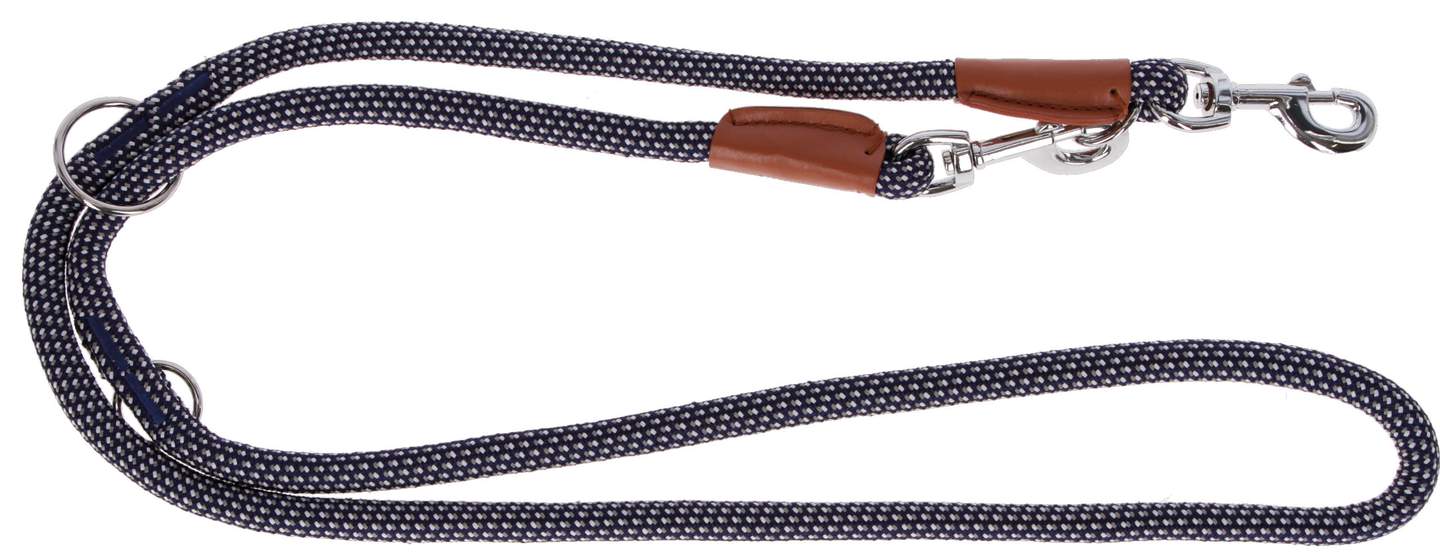 Training Leash Phoenix - Image 1