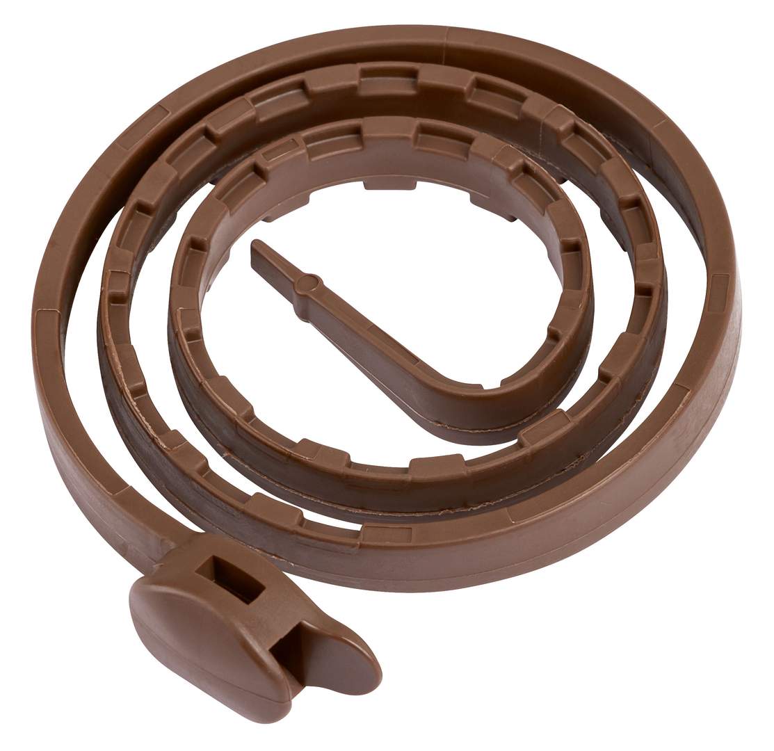 Bug Collar for Cats - Image 1