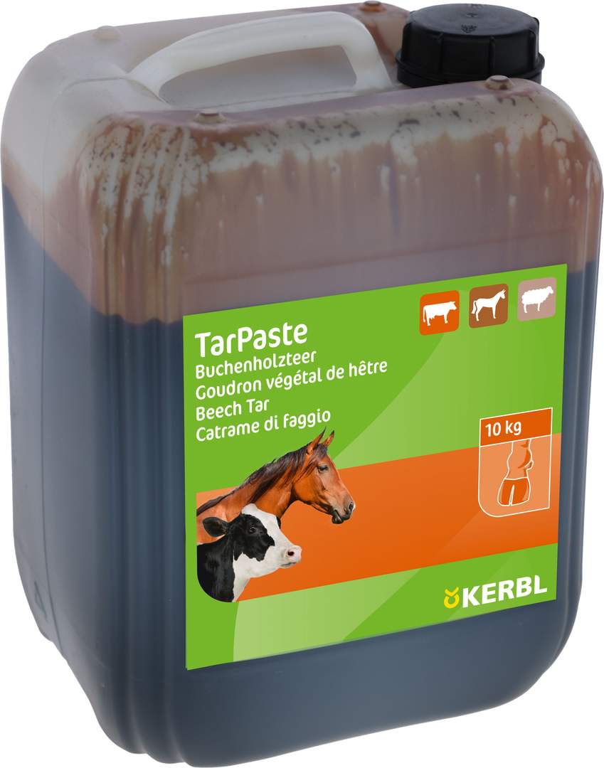 Beechwood Tar TarPaste - Image 1