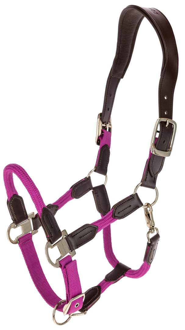 Halter Cordano Deluxe - Image 1