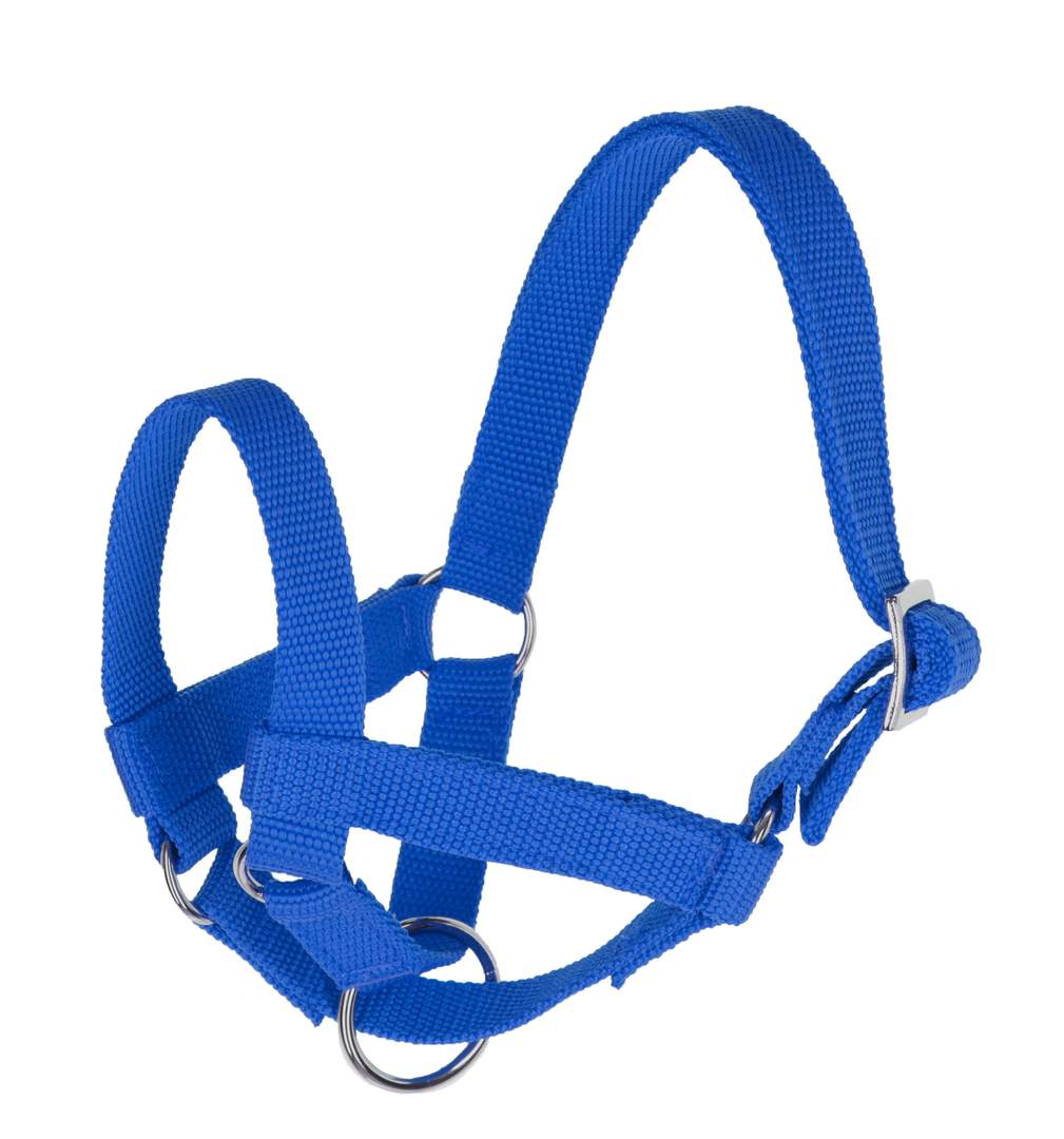 Lama Halter - Image 1