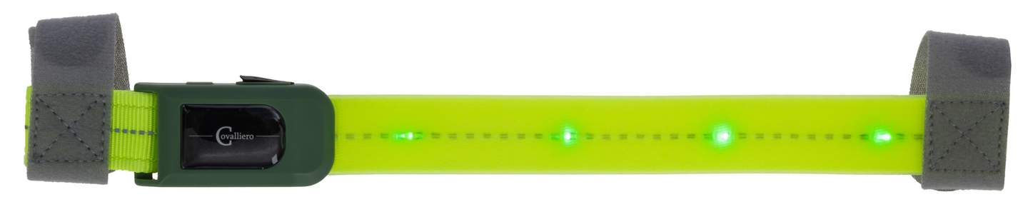 Stirnriemen LED - Bild 1