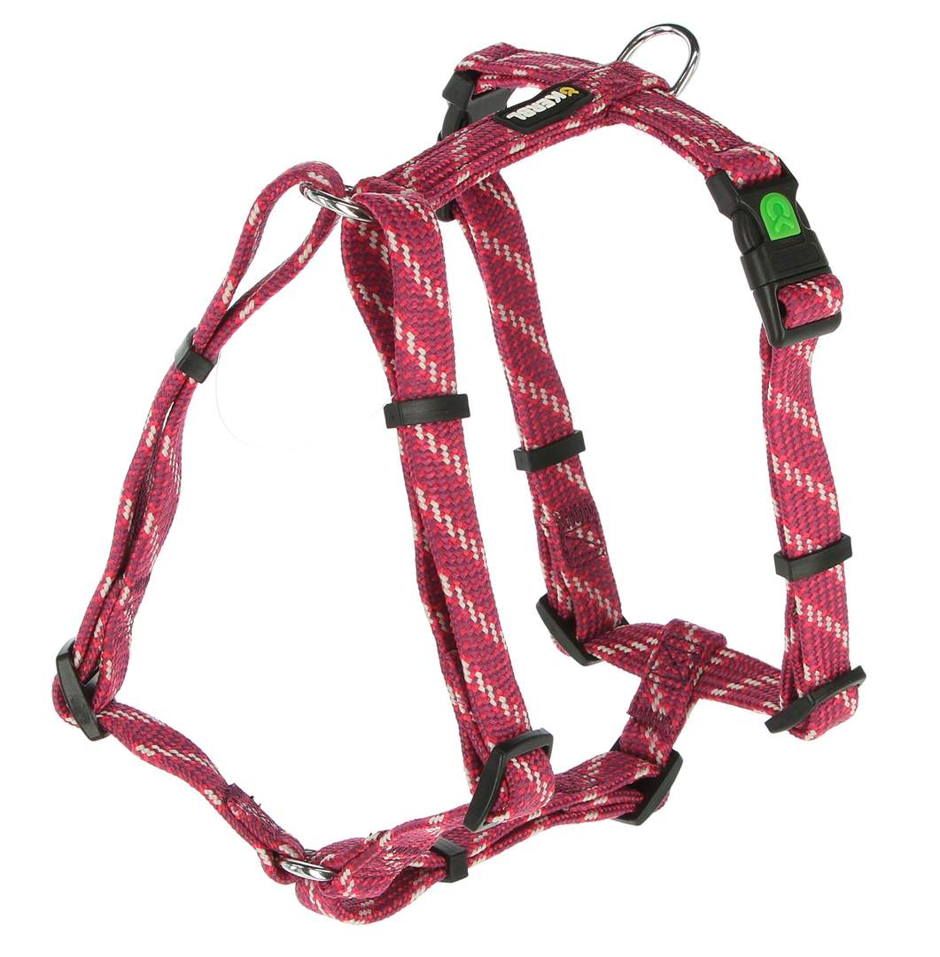 Harness Colorado - Image 1