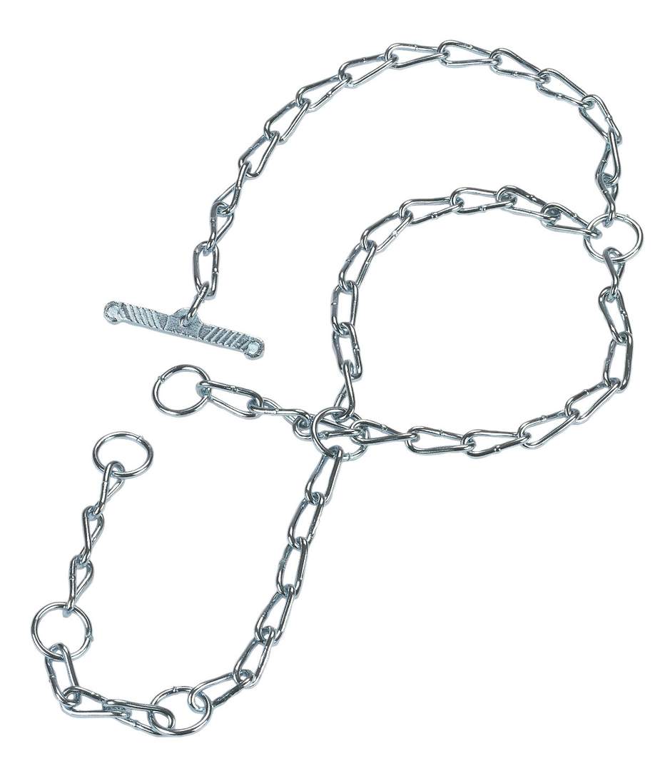 Ochsenzaumkette - Bild 1