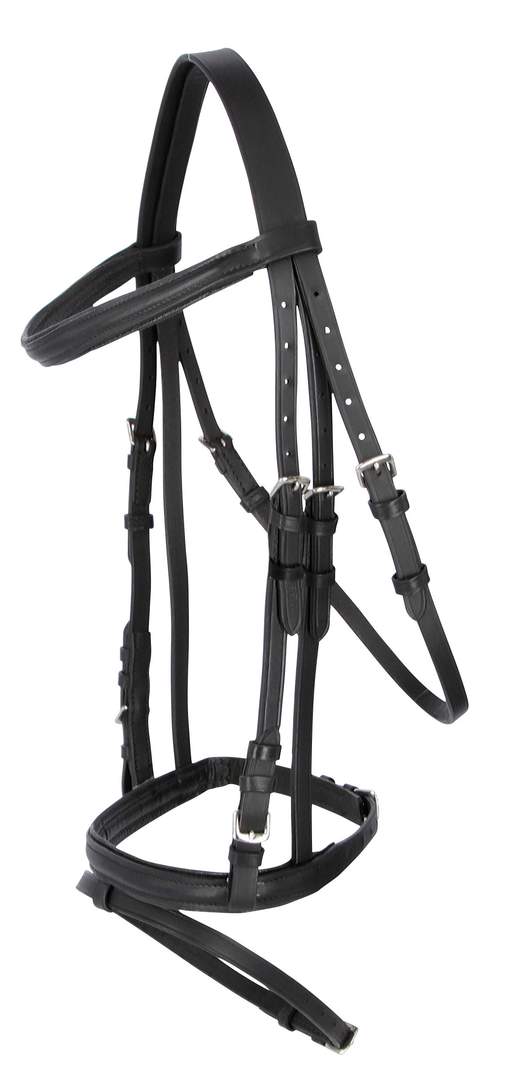 Snaffle Standard - Image 1