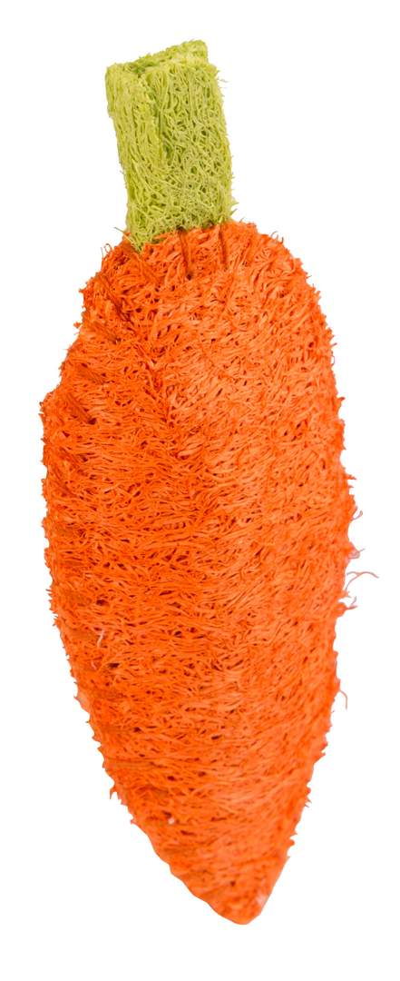 Luffa Karotte - Bild 1