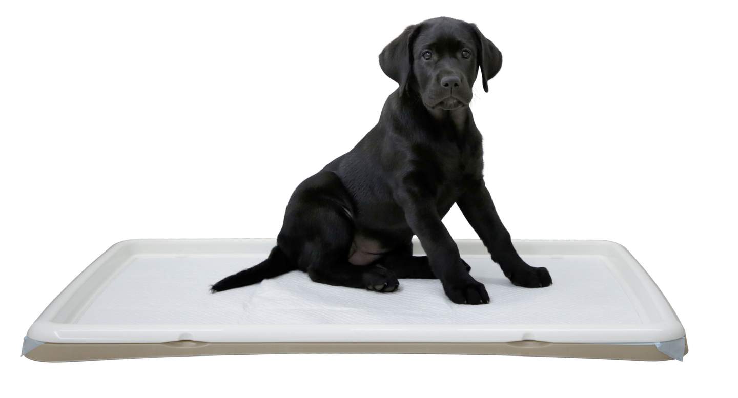 Puppy Toilet XL - Image 1