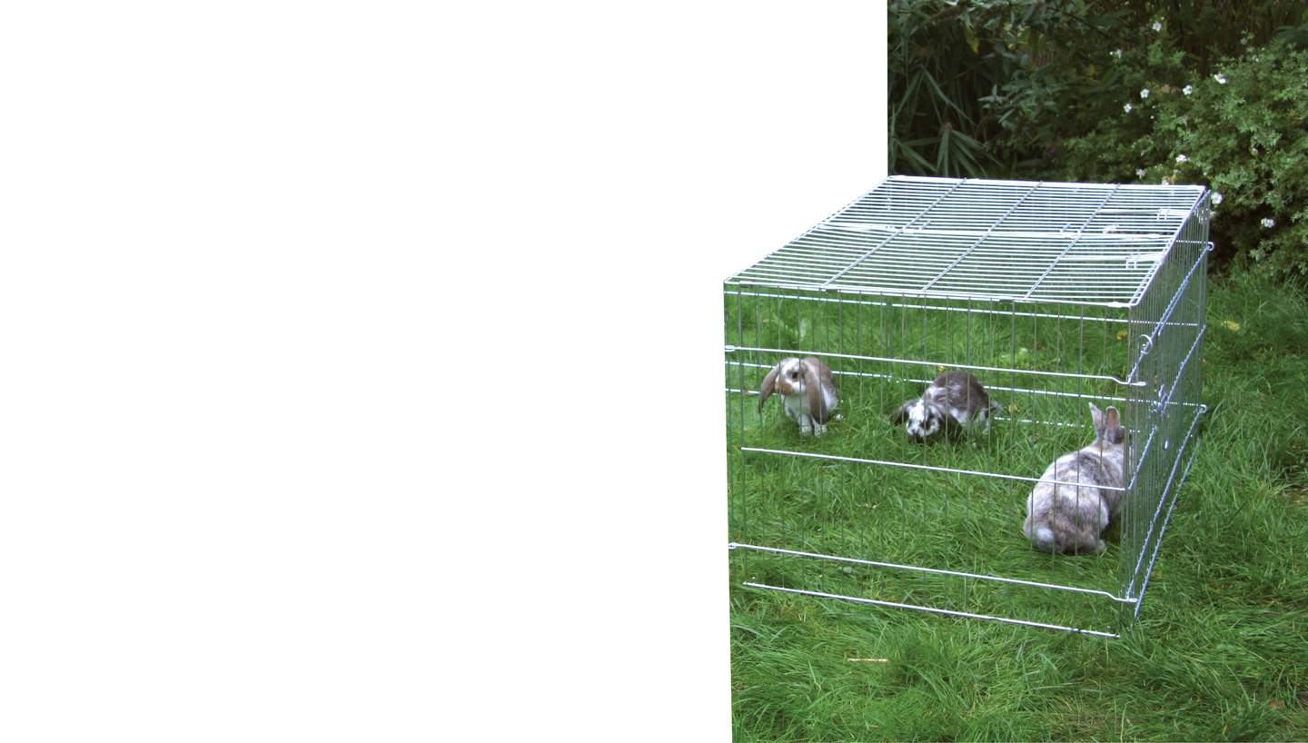 Extension Element - Image 1