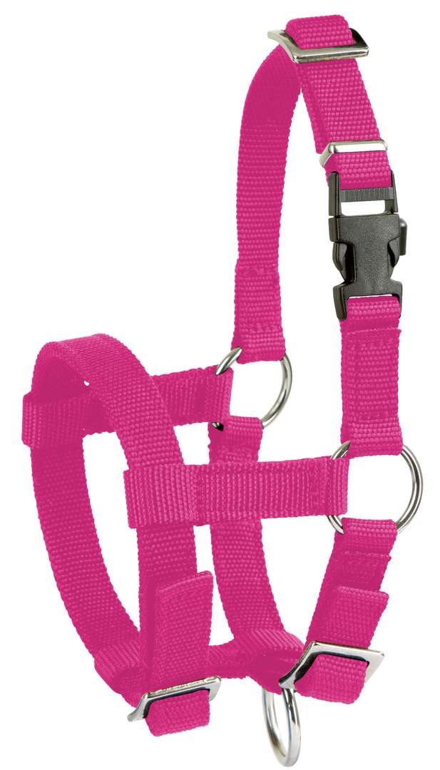 Alpaca Halter - Image 1