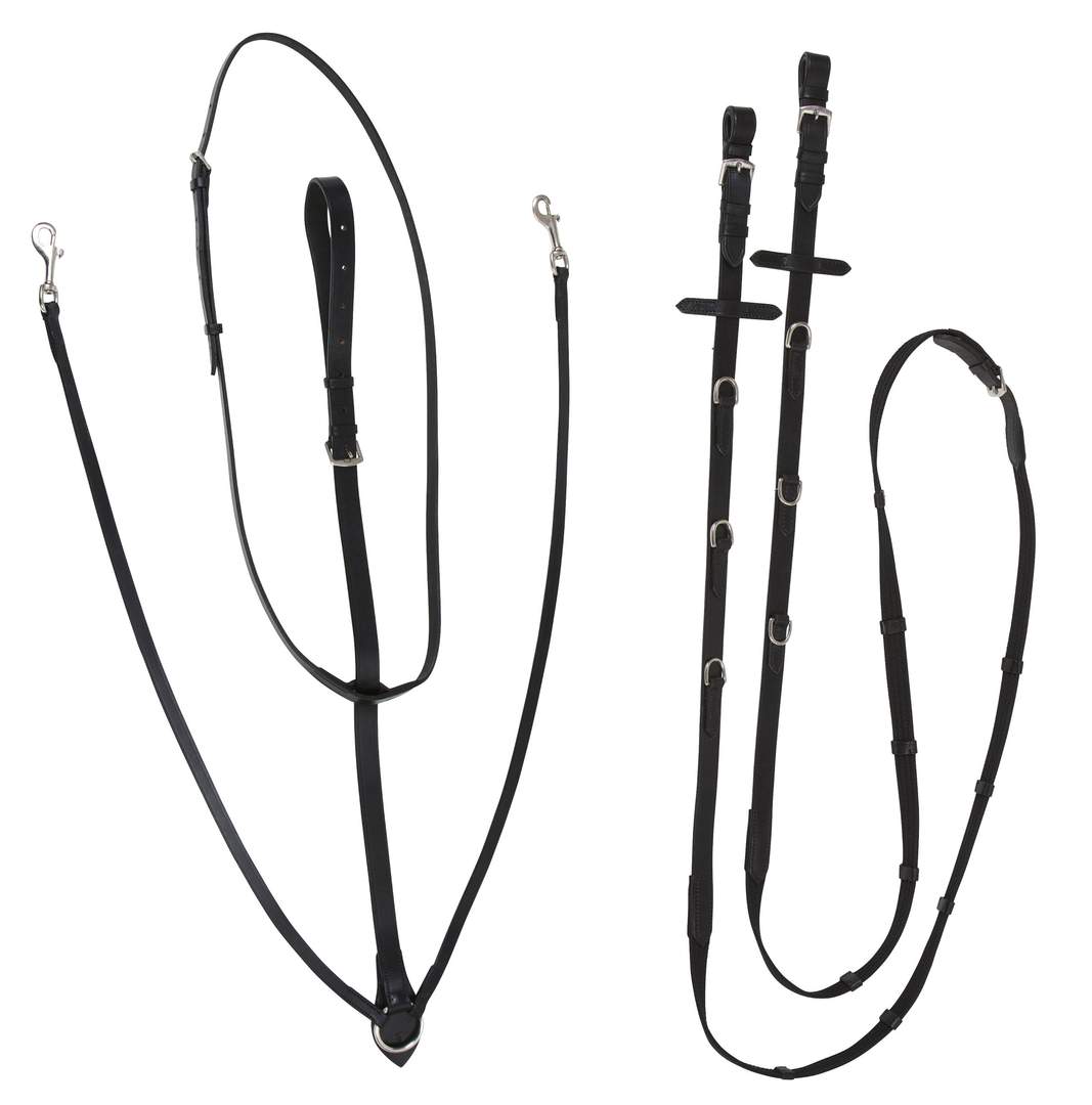 Thiedemann Reins - Image 1