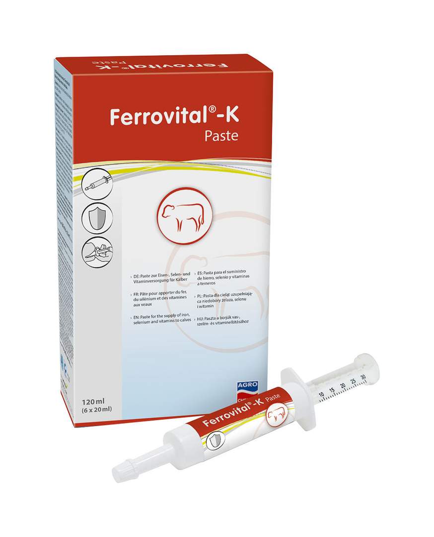 Paste Ferrovital®-K - Image 1