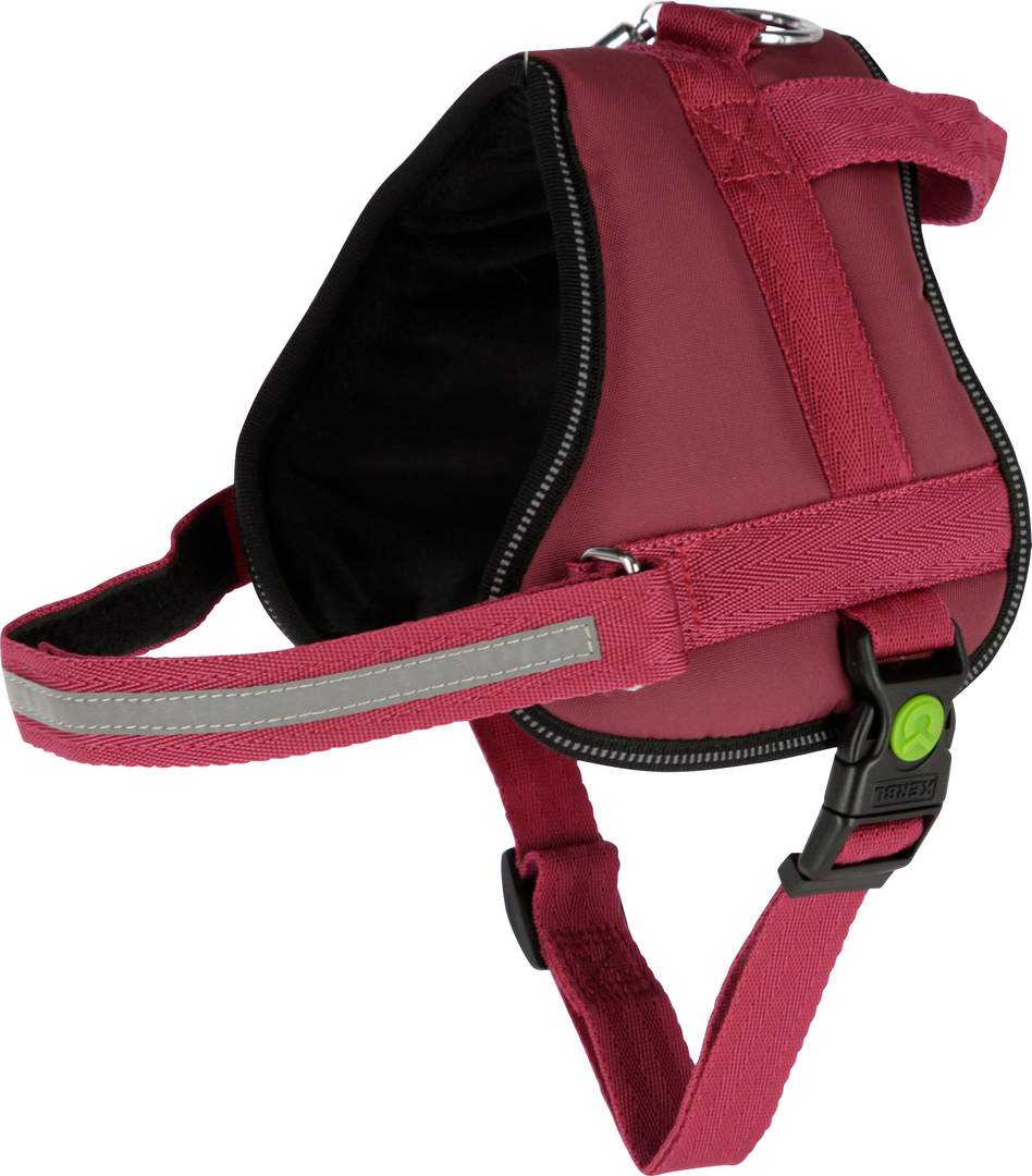 Harness Maestro 2.0 - Image 1