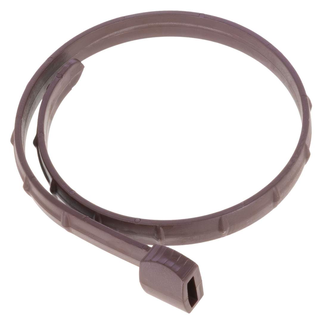 Bug Collar for Cats - Image 1