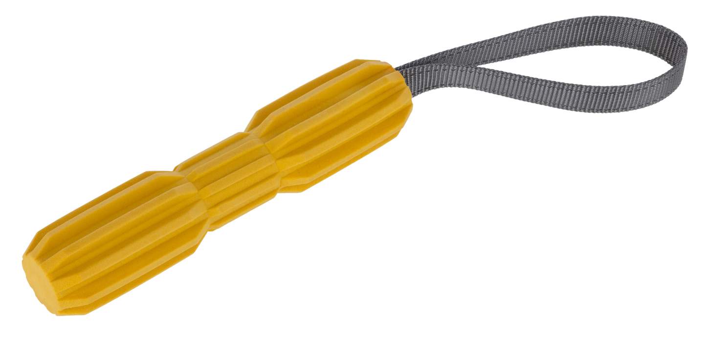 Dog Toy Aqua - Image 1