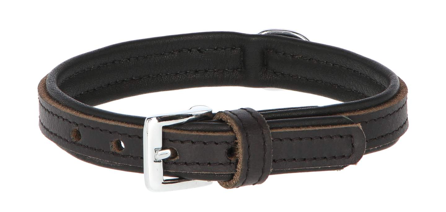 Collar Vegas HQ - Image 1