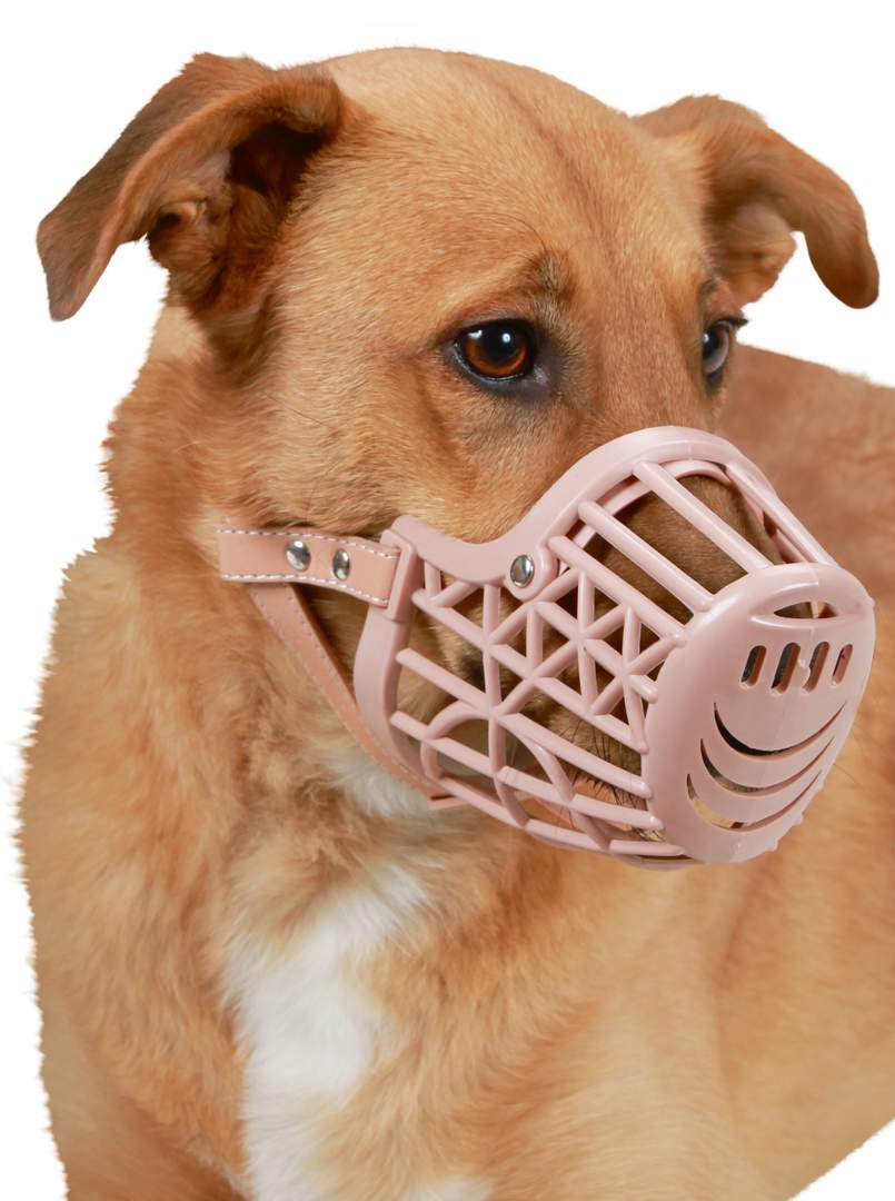 Muzzle Plastic - Image 1