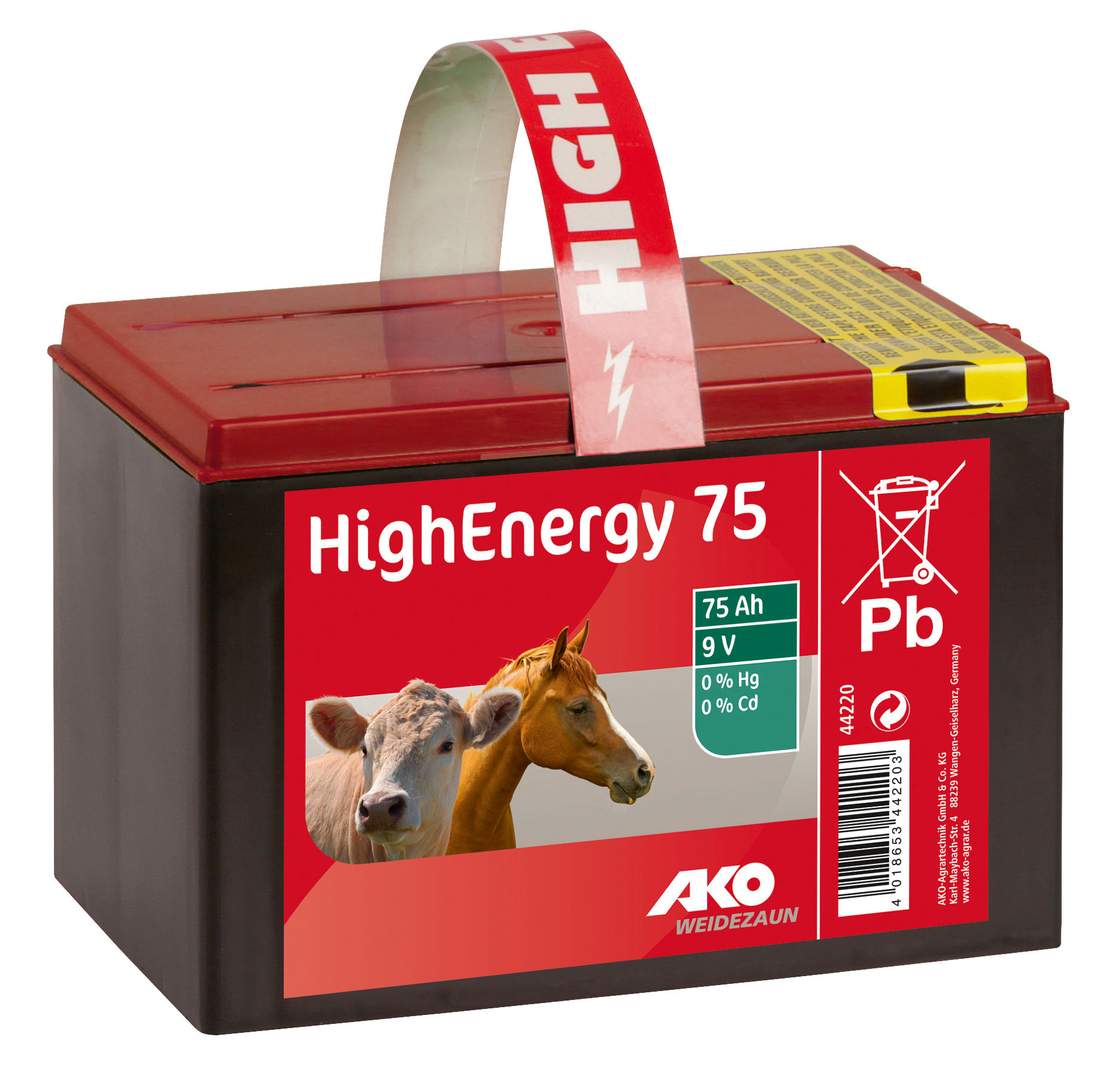 Saline Trockenbatterie 9 Volt High Energy - Bild 1