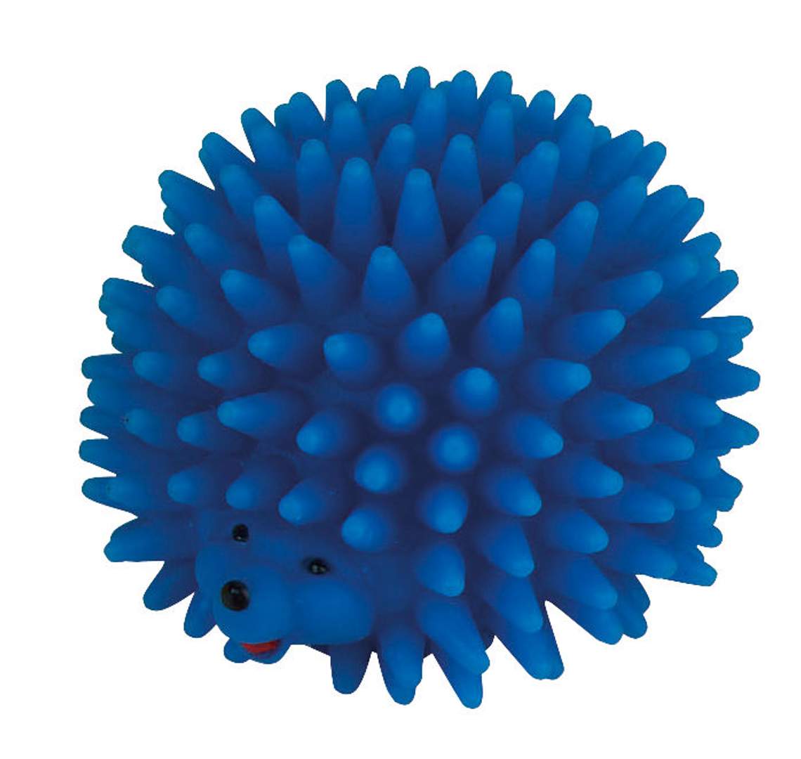 Igel - Bild 1