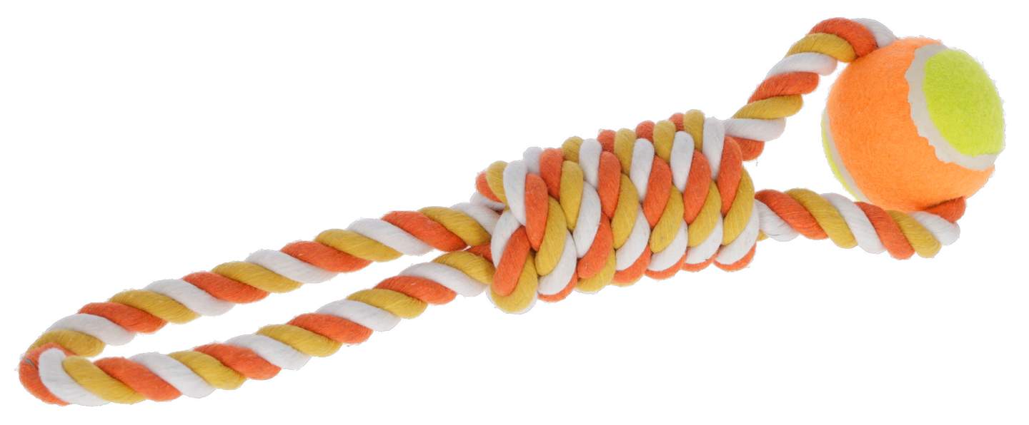 Ball on a Rope - Image 1