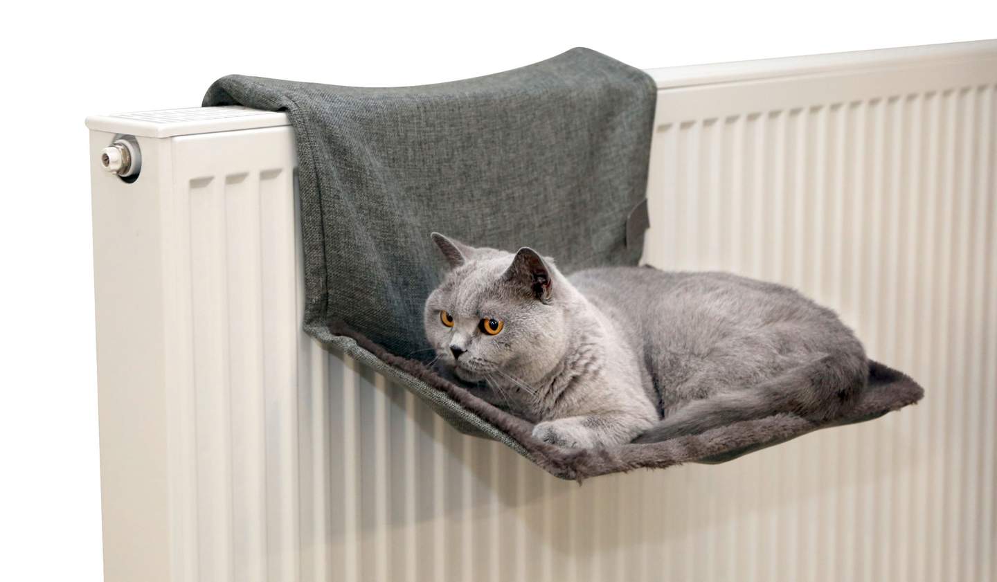 Cat Hammock Paradies - Image 1