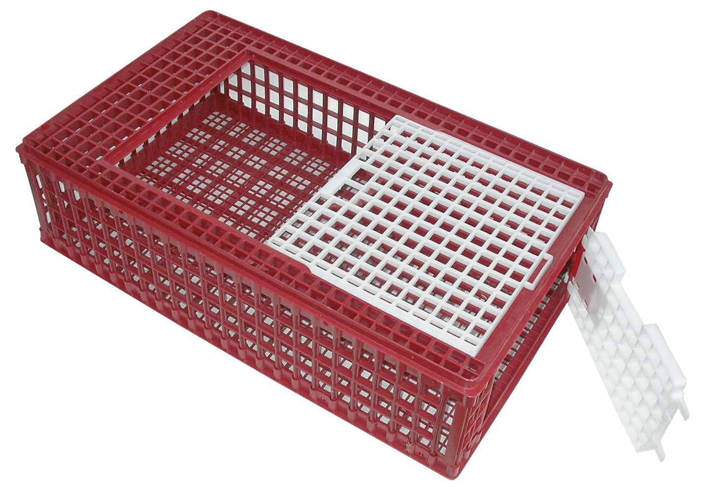 Geflügel-Transportbox - Bild 1