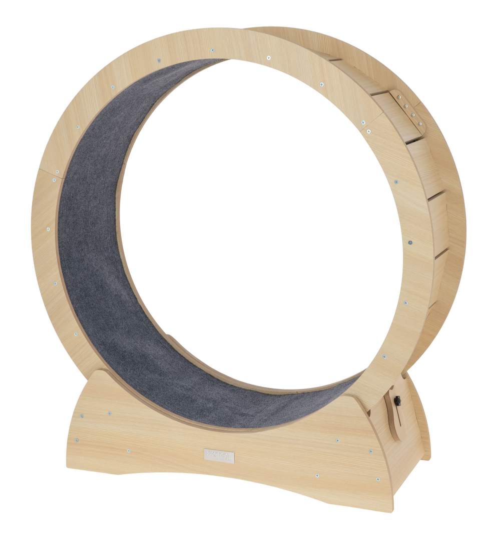Cat exercise wheel - Image 1