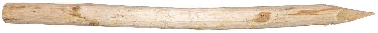 Robinia post - Image 1