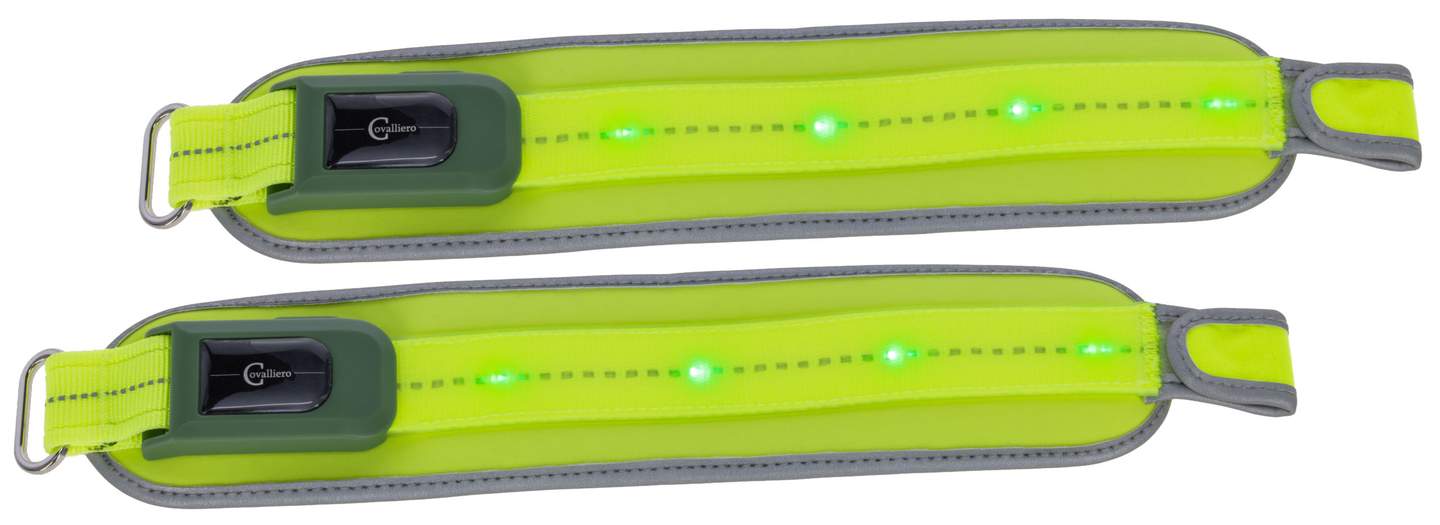Leuchtgamasche LED - Bild 1