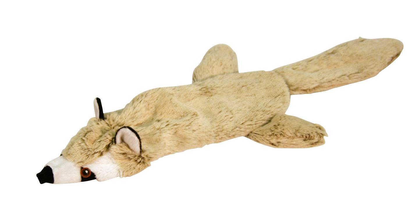 Leopard/raccoon - Image 1