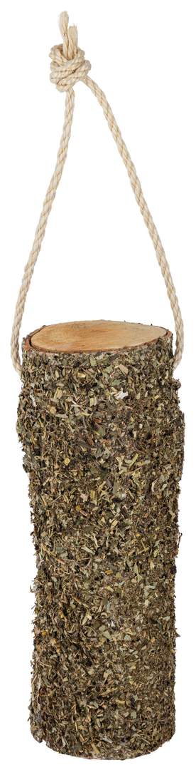 Delizia® Holzstick Bronchial - Bild 1