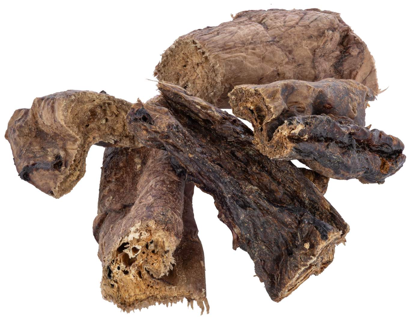 Lung - Image 1