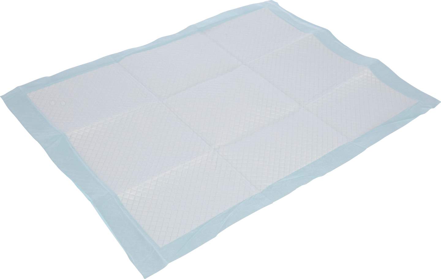 Training Pad - Image 1