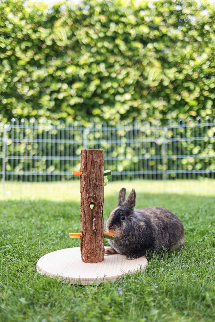 Futterbaum Nature - Bild 1