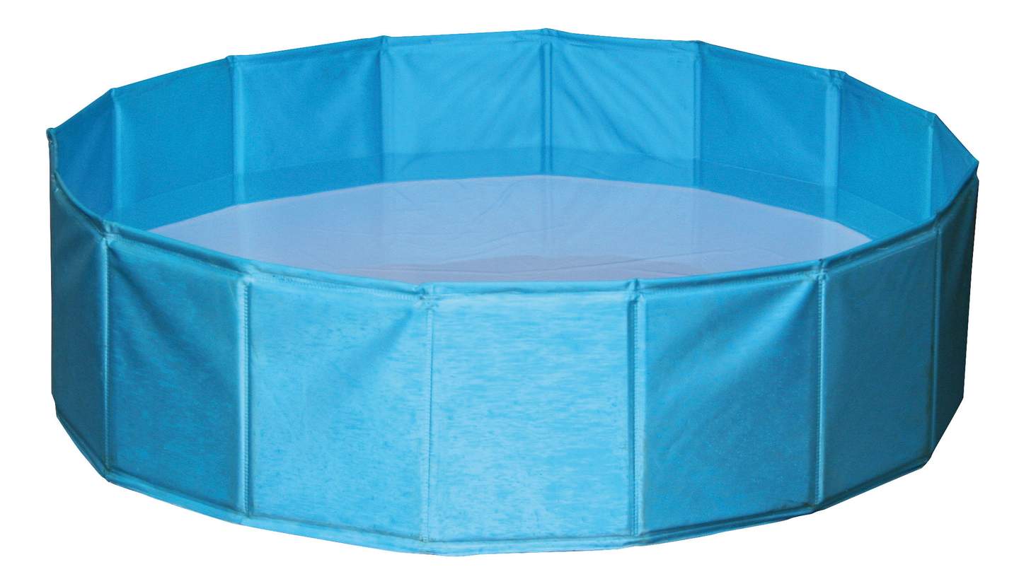 Dog Pool - Image 1