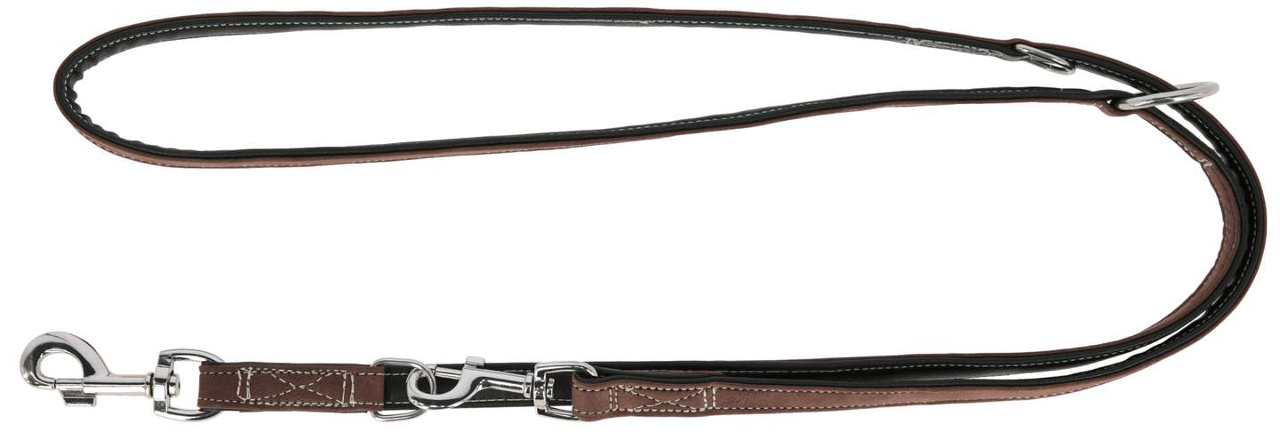 Training Leash California - Image 1