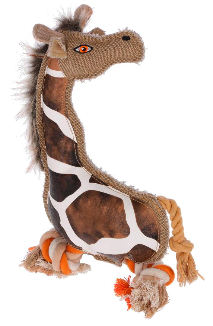 Giraffe Gina - Image 1