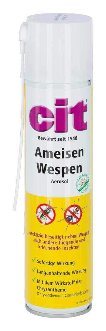 cit Ameisen-Wespen - Bild 1