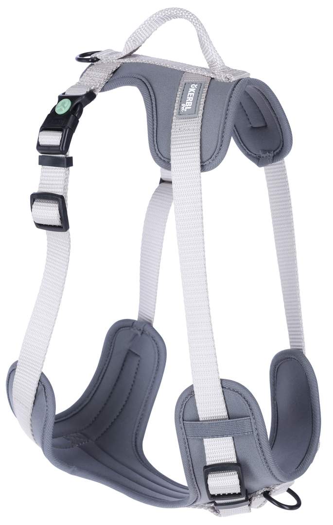 Harness Fitty - Image 1